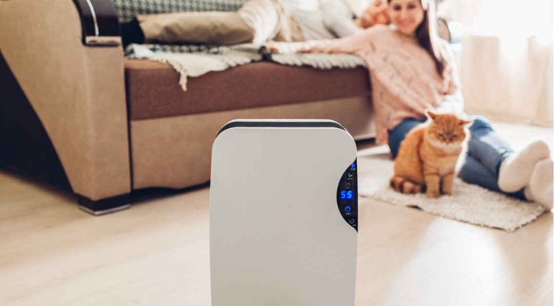 Best Dehumidifiers Review